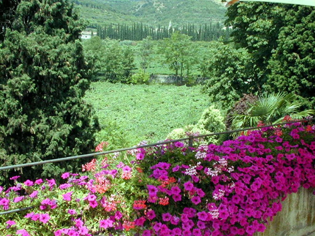 B&B Villa Monteleone Sant'Ambrogio di Valpolicella Eksteriør billede