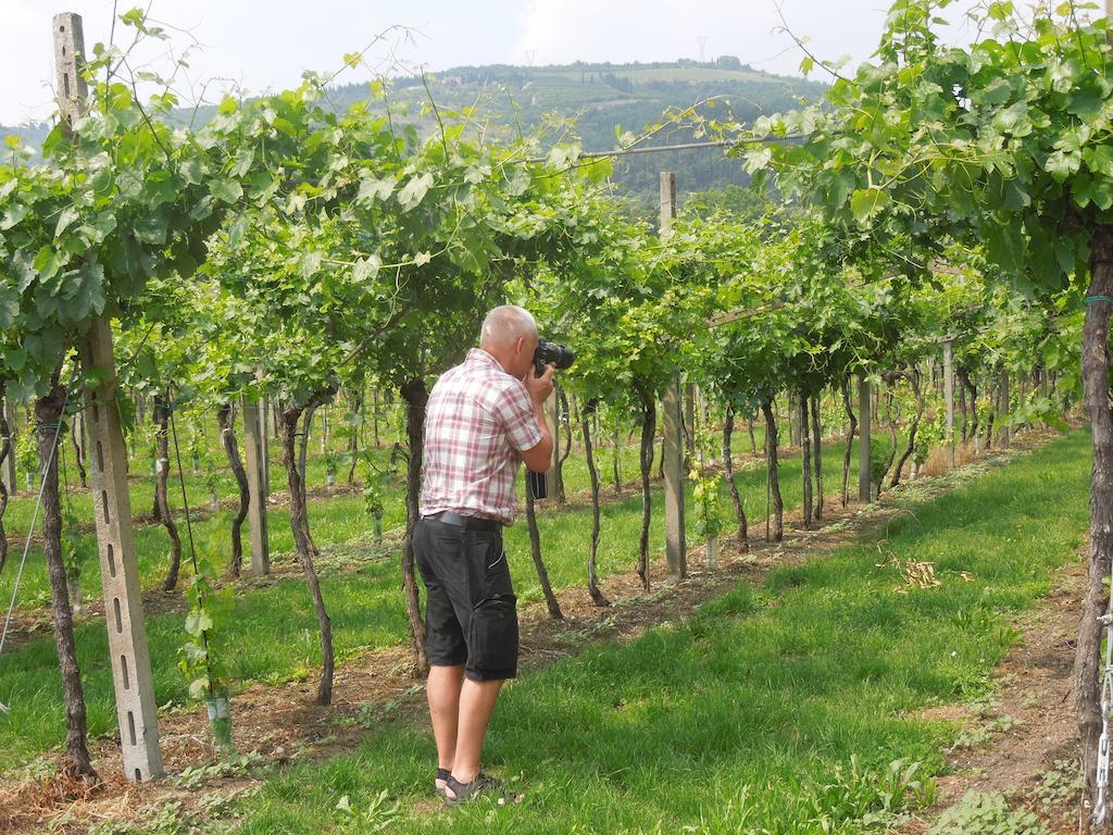 B&B Villa Monteleone Sant'Ambrogio di Valpolicella Eksteriør billede