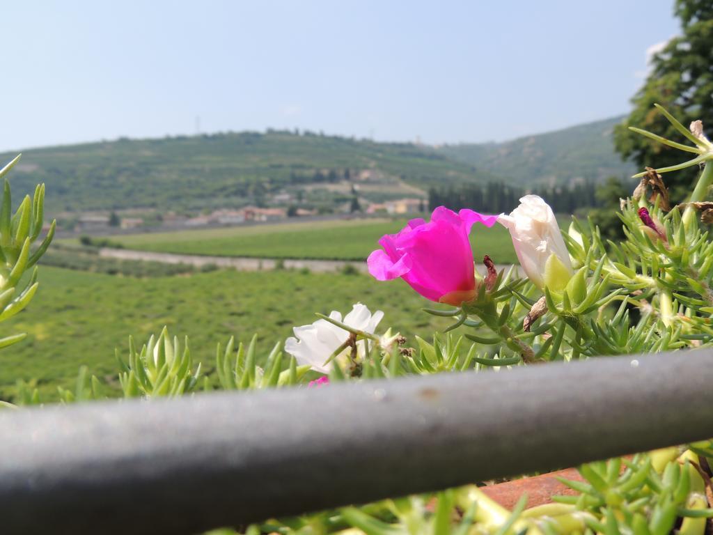 B&B Villa Monteleone Sant'Ambrogio di Valpolicella Eksteriør billede